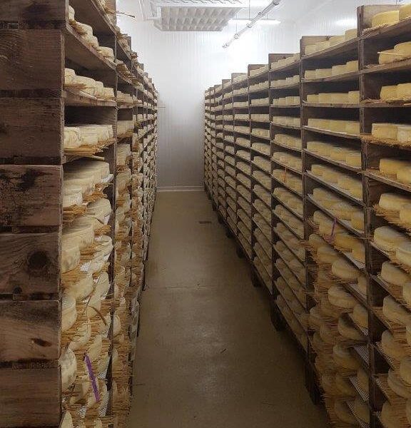 Nébulisation BRO Brumisation dans une cave d'affinage de fromages