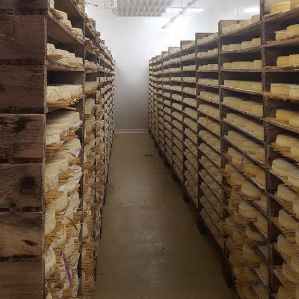 Nébulisation BRO Brumisation dans une cave d'affinage de fromages