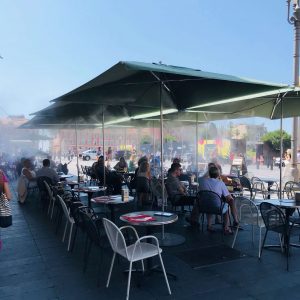 Brumisation BRO Brumisation dans un restaurant de Nice